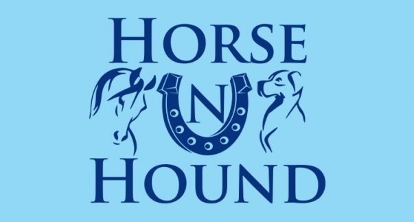 horse_n_hound-747x400